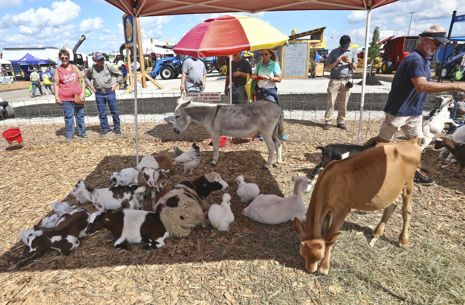 Day one of Farm Progress 26 8.27.19.JPG